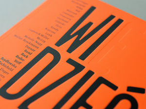 Widzieć/Wiedzieć. Wybór najważniejszych tekstów o dizajnie