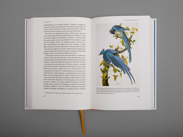 Książka. Najpotężniejszy przedmiot naszych czasów zbadany od deski do deski