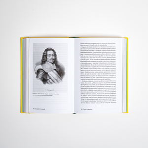 Babel. W dwadzieścia języków dookoła świata