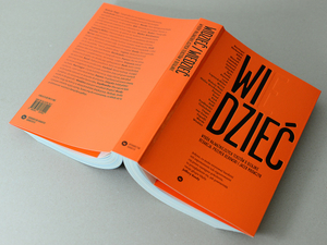 Widzieć/Wiedzieć. Wybór najważniejszych tekstów o dizajnie