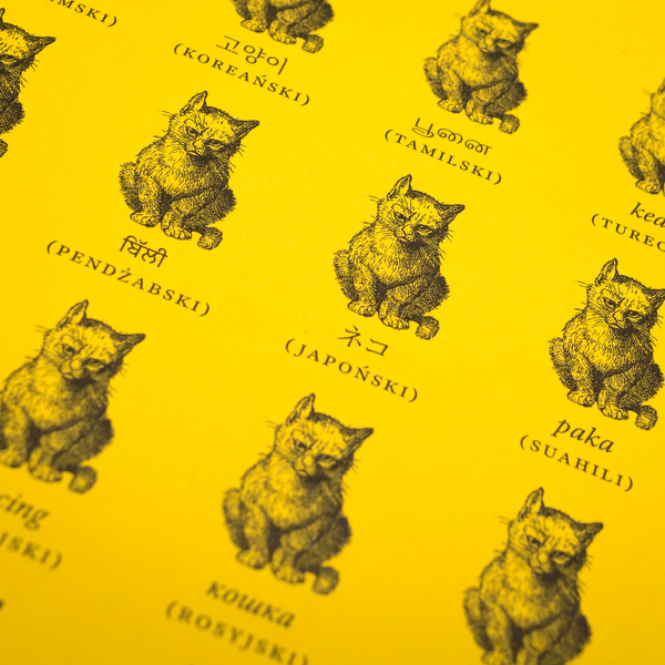 Babel. W dwadzieścia języków dookoła świata